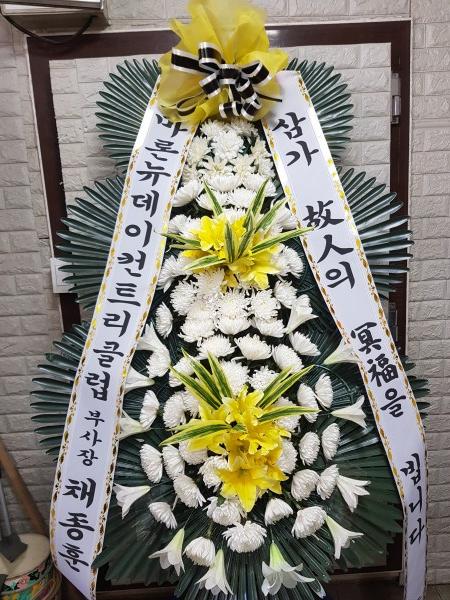 업로드 이미지