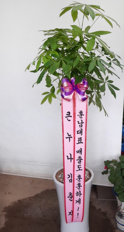 업로드 이미지