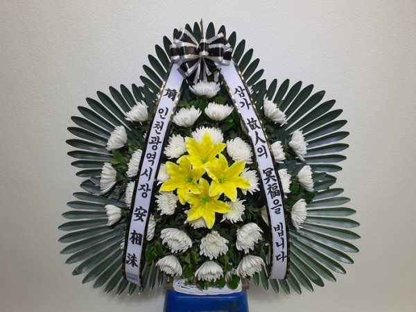 업로드 이미지