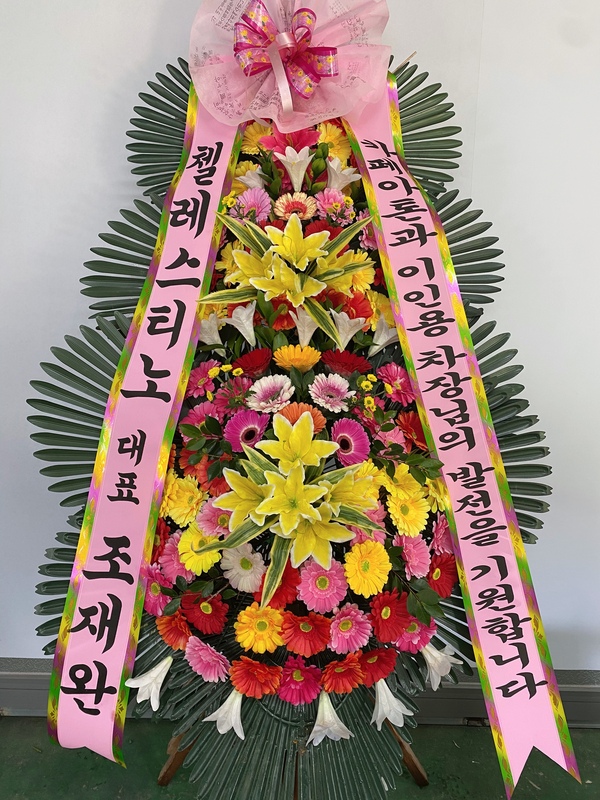 업로드 이미지
