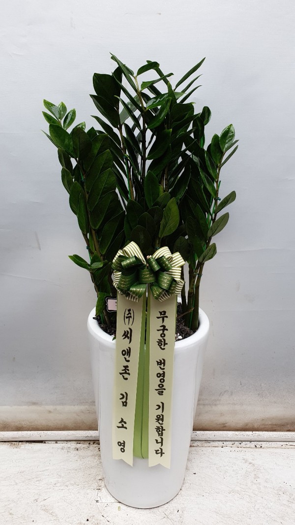 업로드 이미지