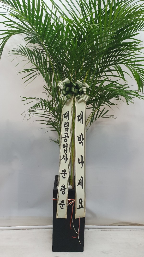 업로드 이미지