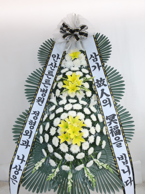 업로드 이미지