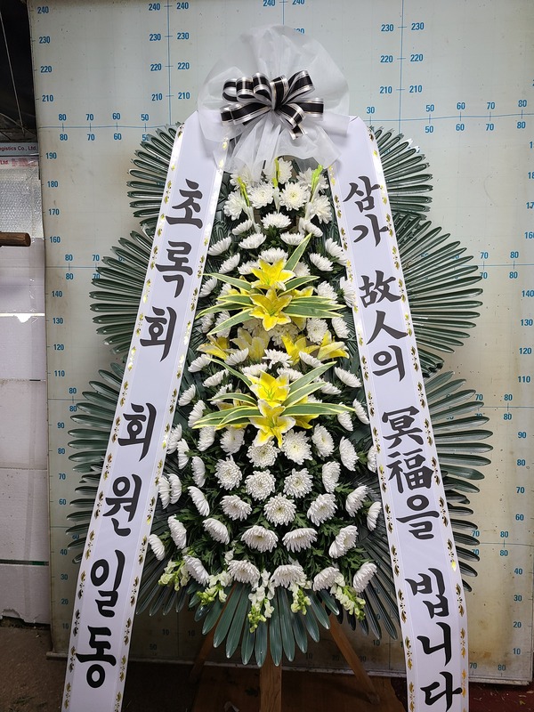 업로드 이미지