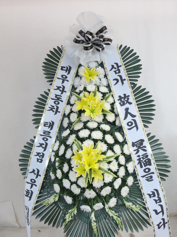 업로드 이미지