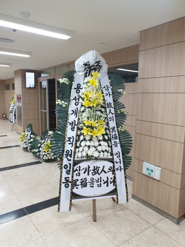 업로드 이미지