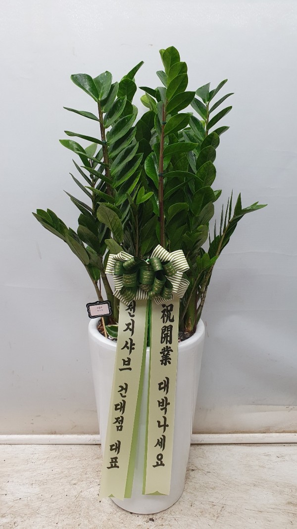 업로드 이미지