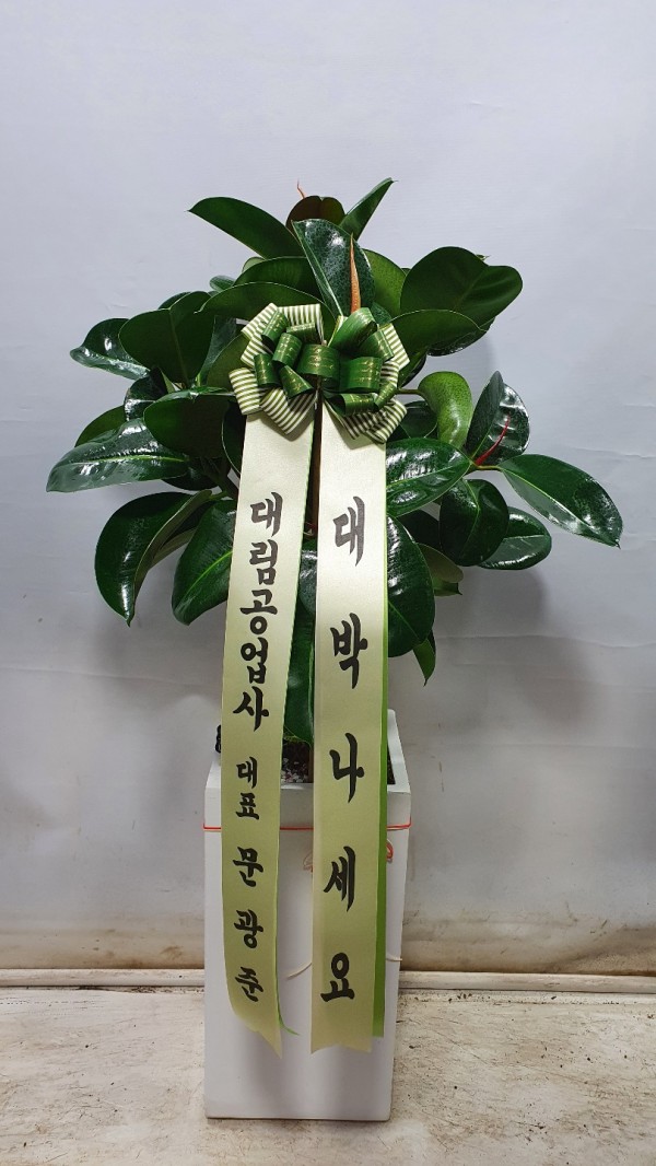 업로드 이미지