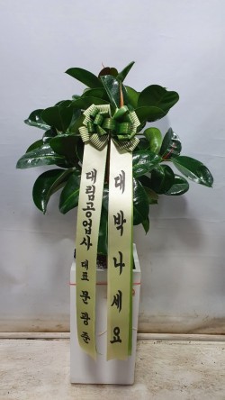 배송사진
