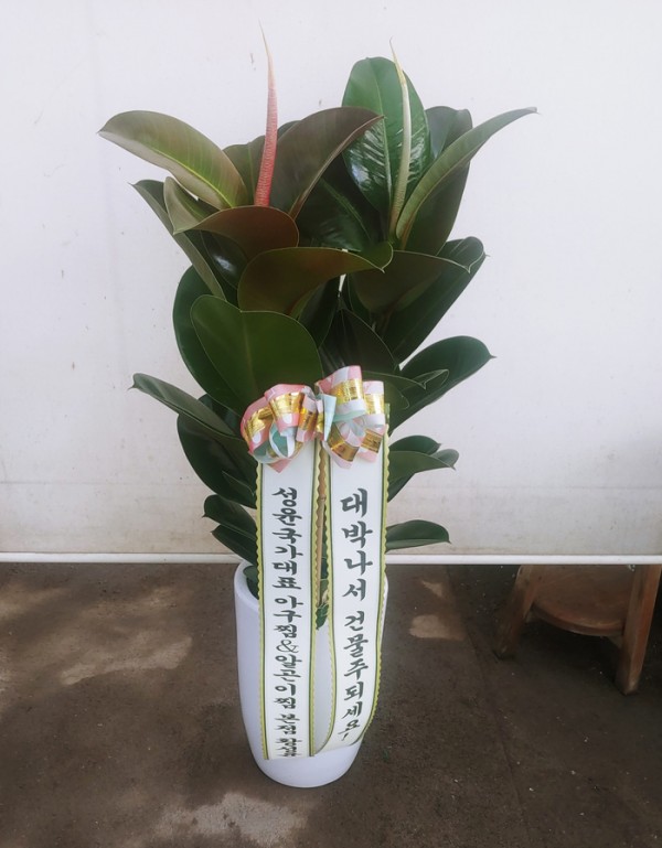 업로드 이미지