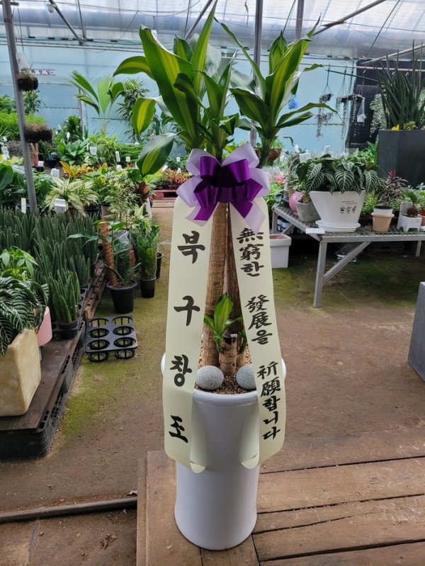 업로드 이미지