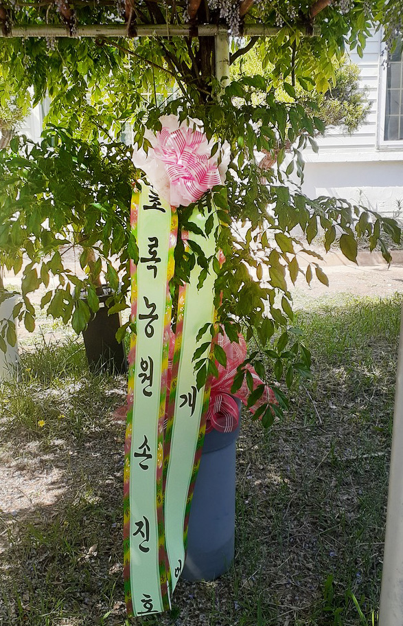 업로드 이미지