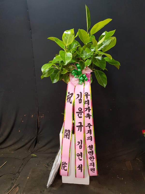 업로드 이미지
