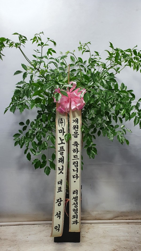 업로드 이미지