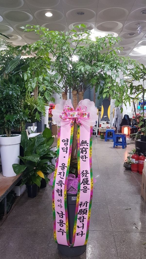 업로드 이미지