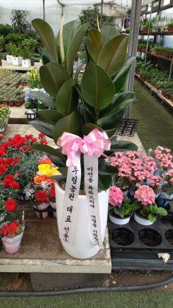업로드 이미지