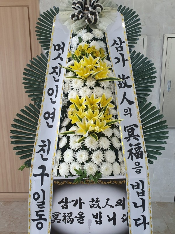 업로드 이미지
