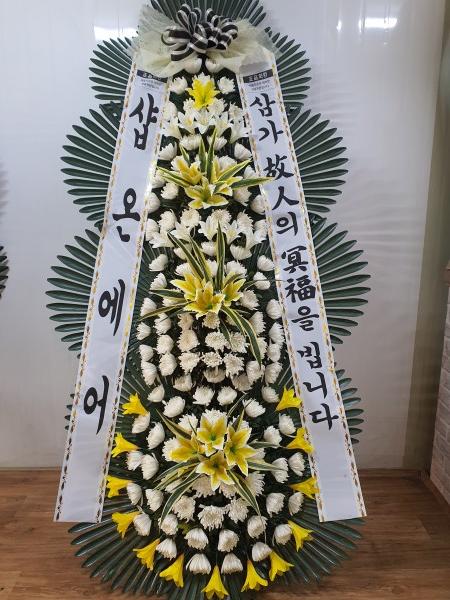 업로드 이미지