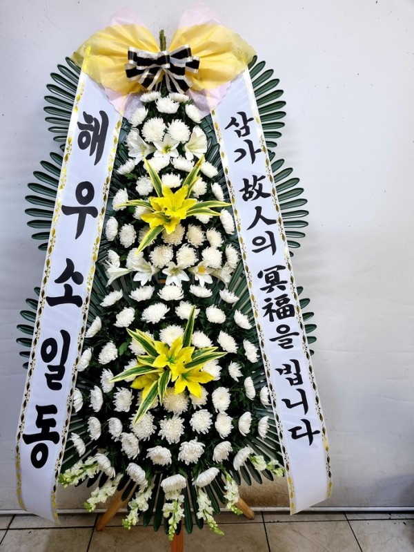 업로드 이미지