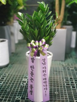 배송사진