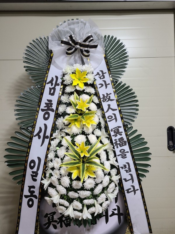 업로드 이미지
