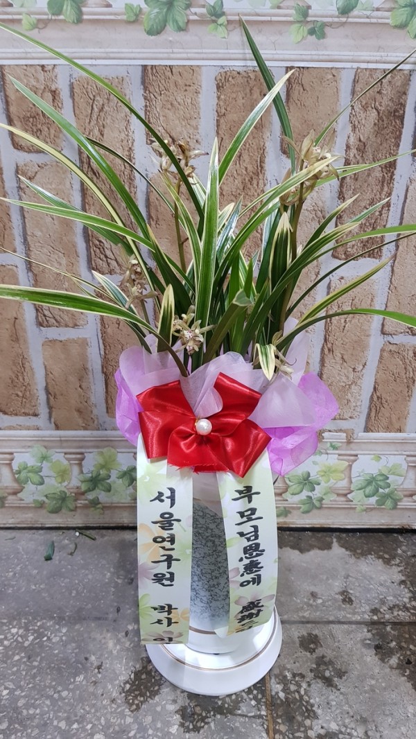 업로드 이미지