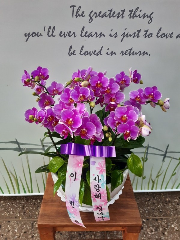 업로드 이미지