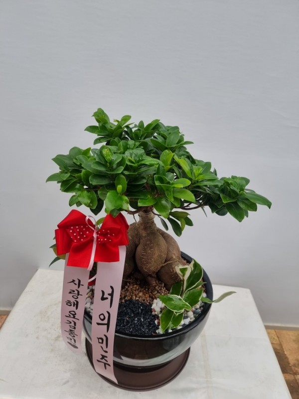 업로드 이미지