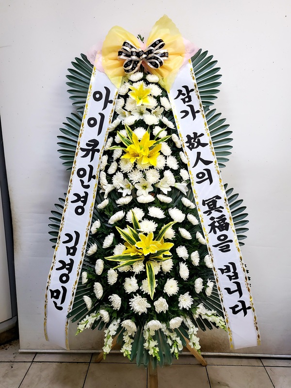 업로드 이미지