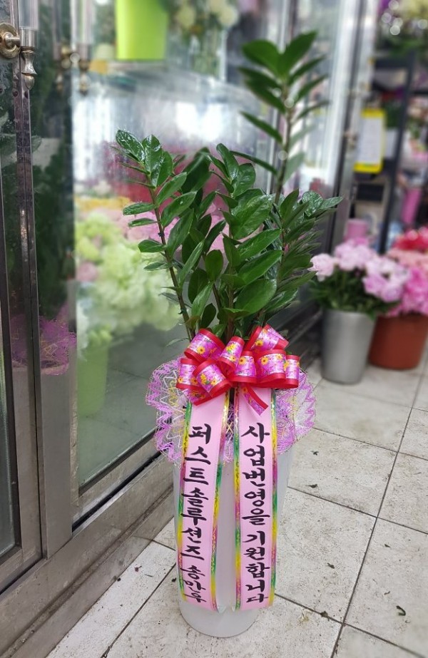 업로드 이미지