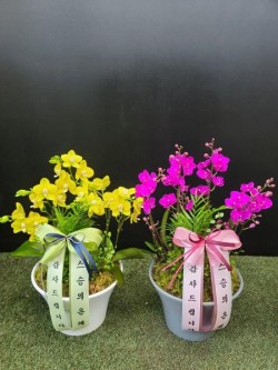 배송사진