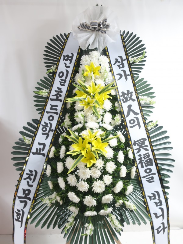 업로드 이미지
