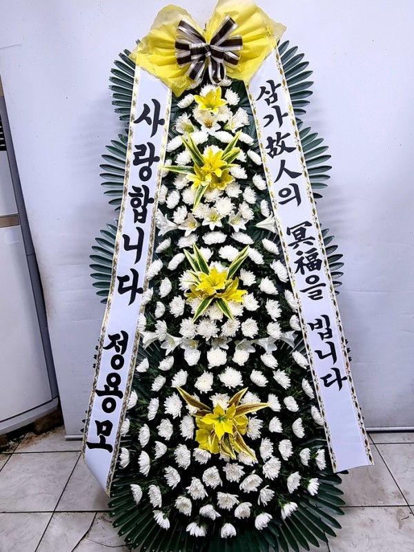 업로드 이미지