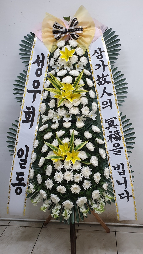 업로드 이미지