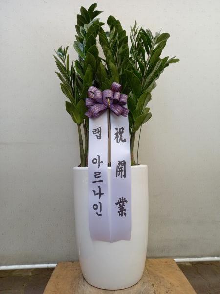 업로드 이미지
