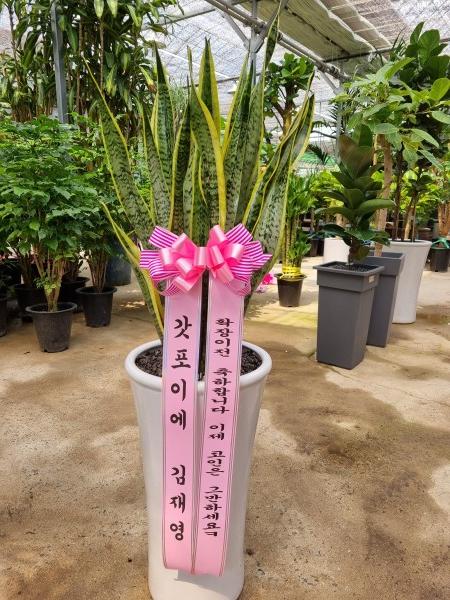 업로드 이미지