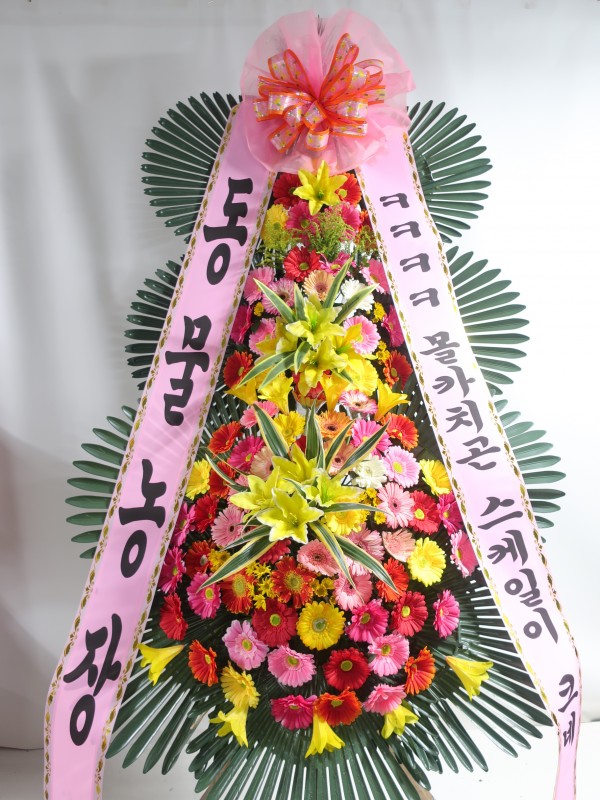업로드 이미지