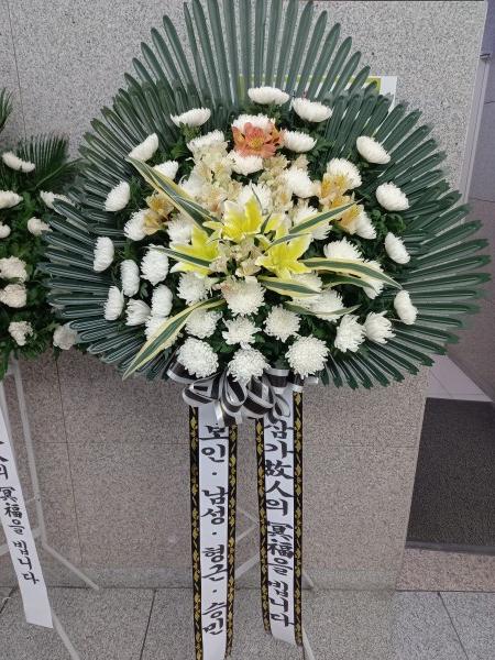 업로드 이미지