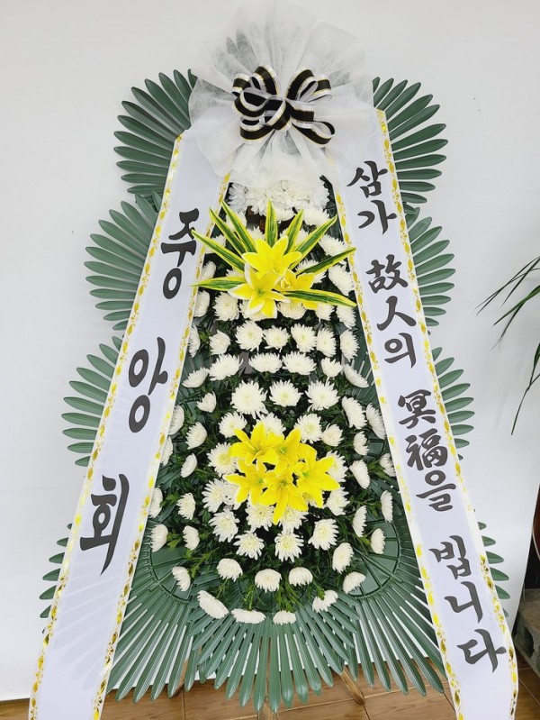 업로드 이미지