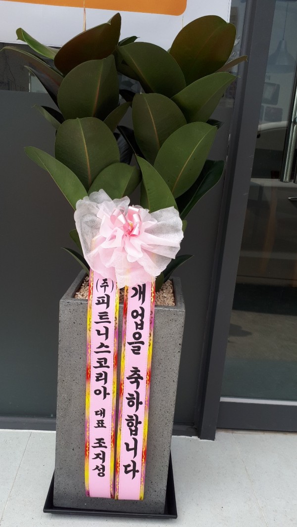 업로드 이미지