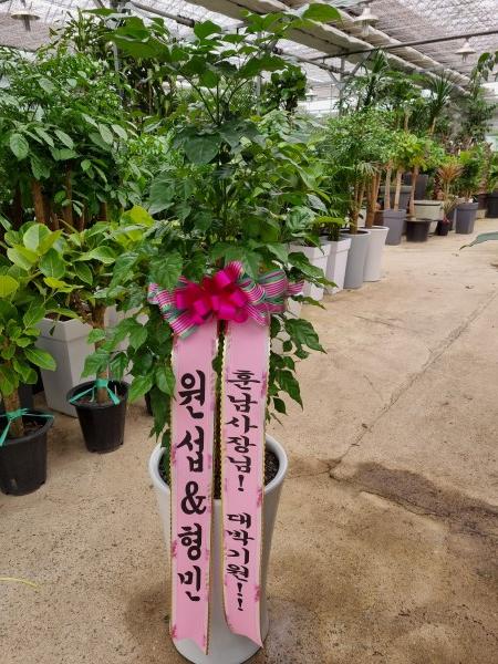 업로드 이미지