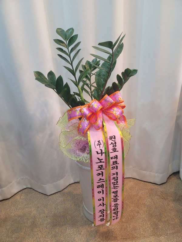 업로드 이미지