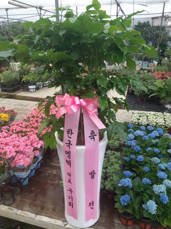 업로드 이미지