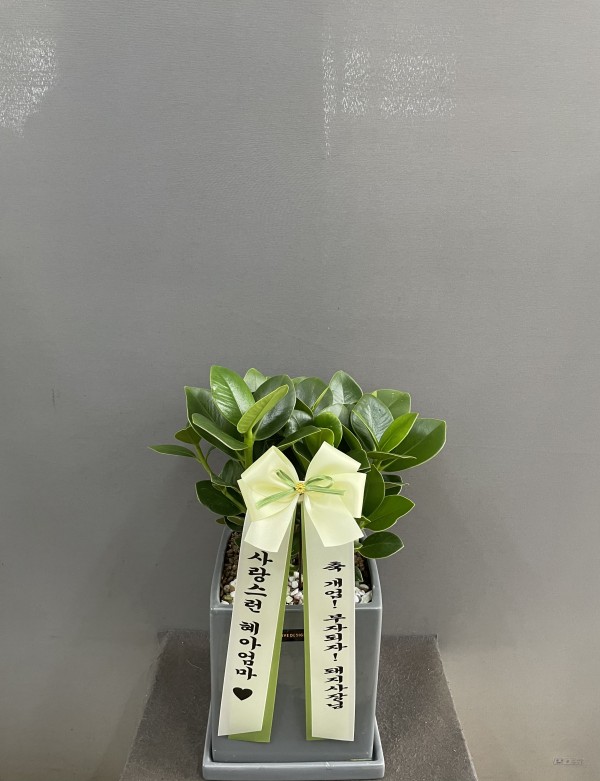 업로드 이미지