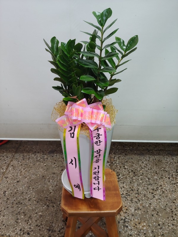 업로드 이미지