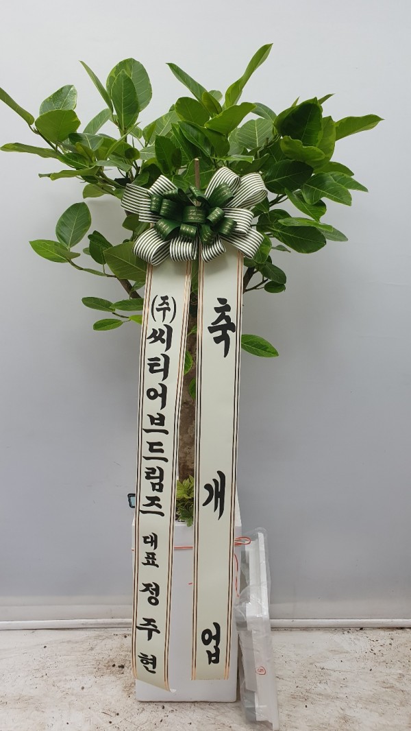 업로드 이미지