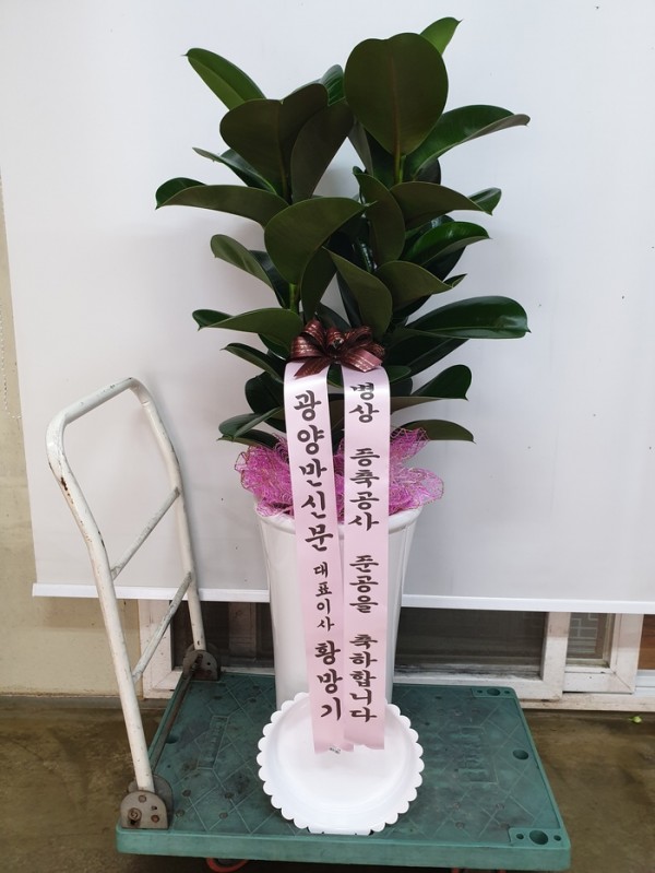 업로드 이미지