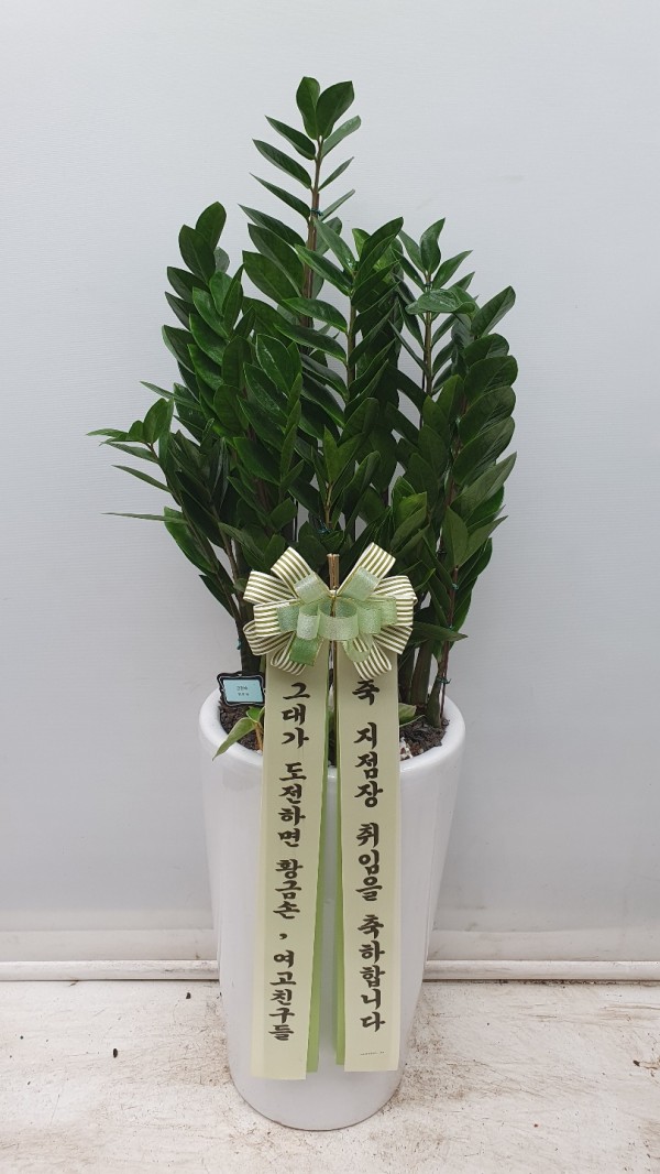 업로드 이미지