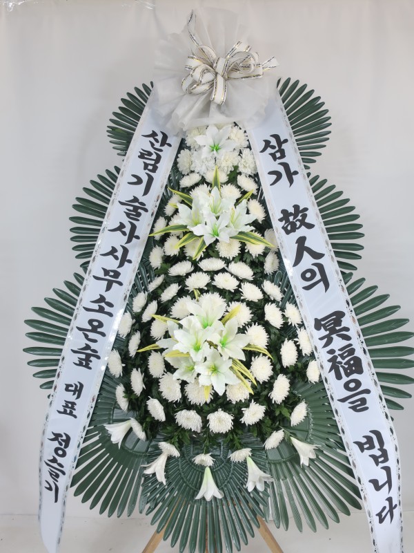 업로드 이미지
