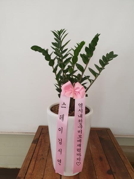 업로드 이미지